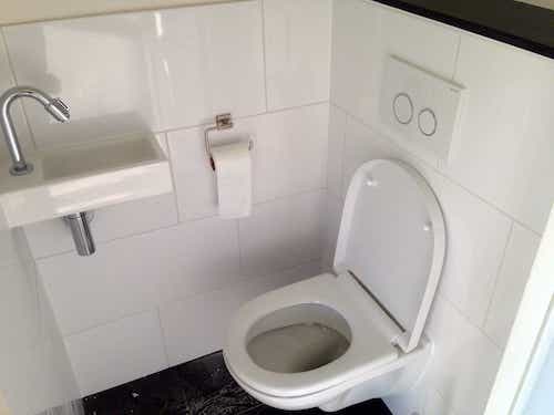 toilet renovatie